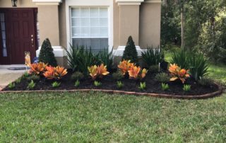Flower Bed Landscaping Tampa