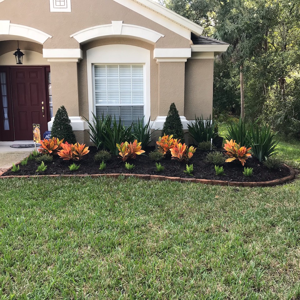 Flower Bed Landscaping Tampa