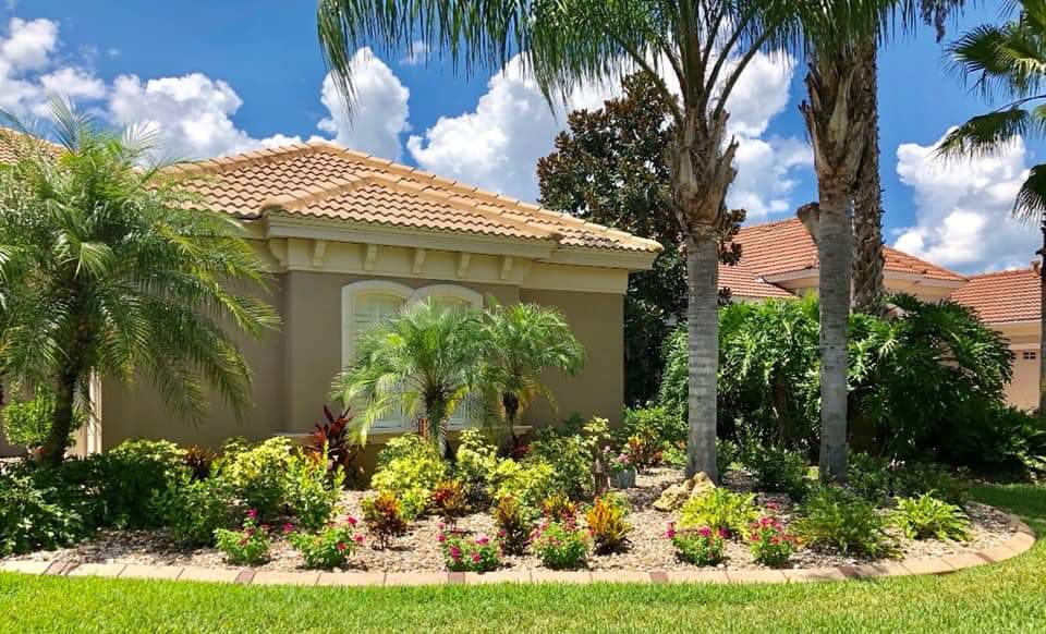 Medscapes Landscaping Tampa Design Install Maintain