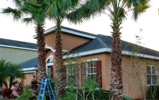 Landscape Designer Tampa