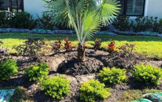 Landscaping Tampa FL