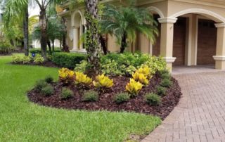 Medscapes Landscaping Tampa, Florida