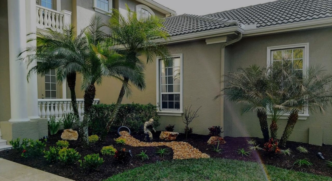 Tampa landscape design with palms and bright planting beds