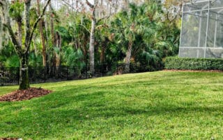Resod Lawn Care Tampa FL