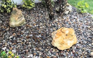 Xeriscaping Landscape Design Tampa FL