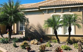 Xeriscaping Landscape Design Tampa FL