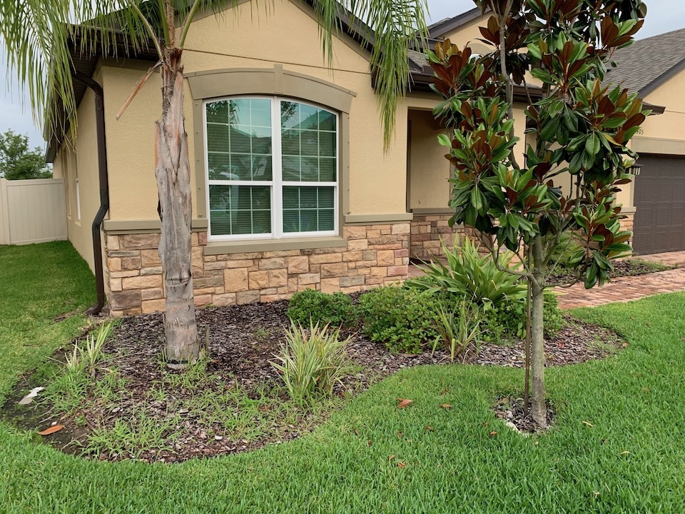 Before: mulched front bed with a palm, a young magnolia and grasses at a single-story home