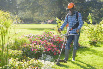 Commercial Landscaping Maintenance Tampa
