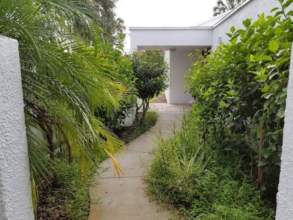 Landscape Mulching Tampa FL - Before
