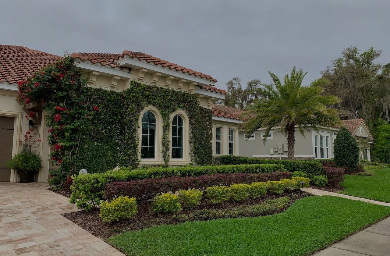 Featured Tampa landscape design with palms and walkway