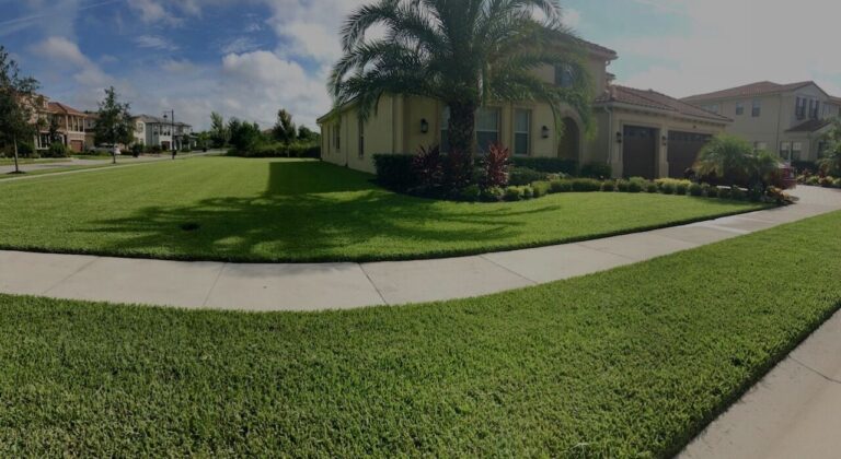 Freshly mowed lawn with crisp sidewalk edges in a residential neighborhood