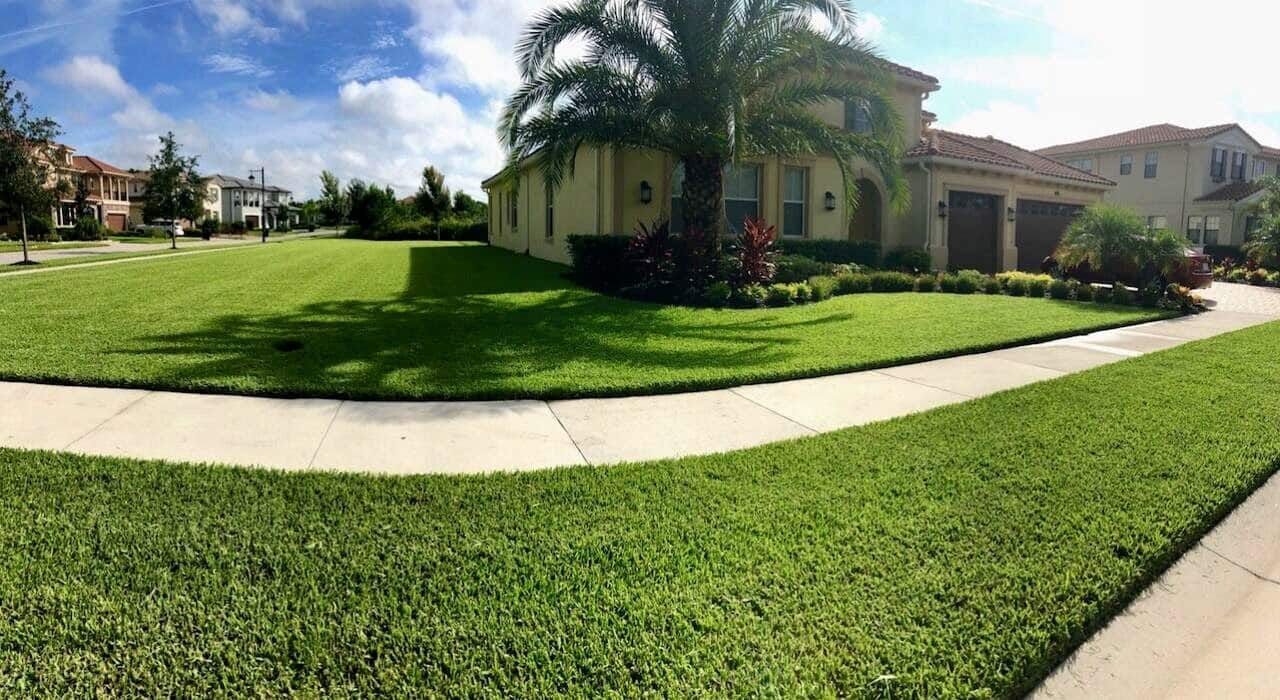 Freshly mowed lawn with crisp sidewalk edges in a residential neighborhood