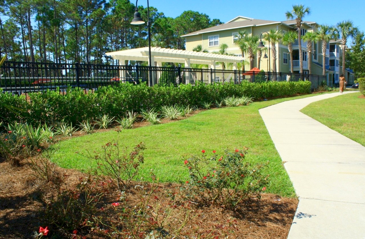Commercial property landscaping with palms and turf
