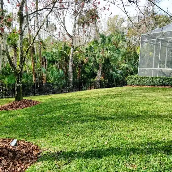 New sod lawn beside a screened pool enclosure