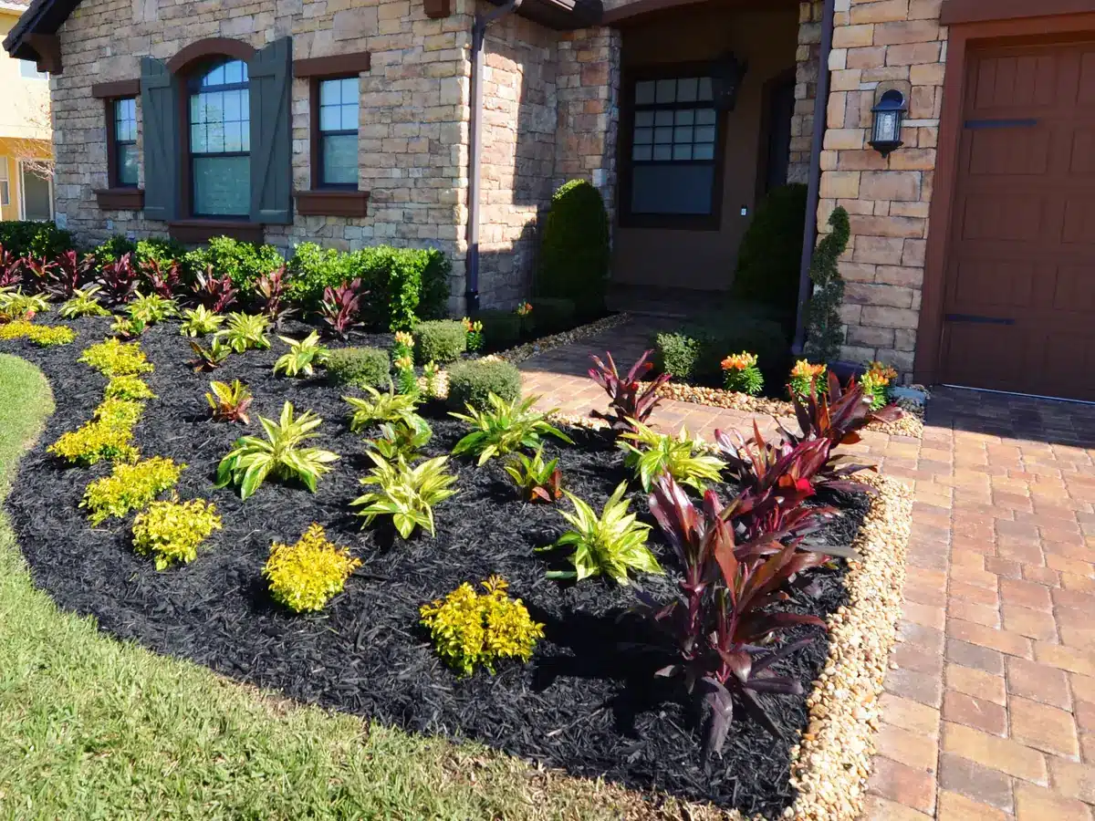 A curved bed of crotons, red ti plants and dark mulch beside a tan and red paver drive at a stone house