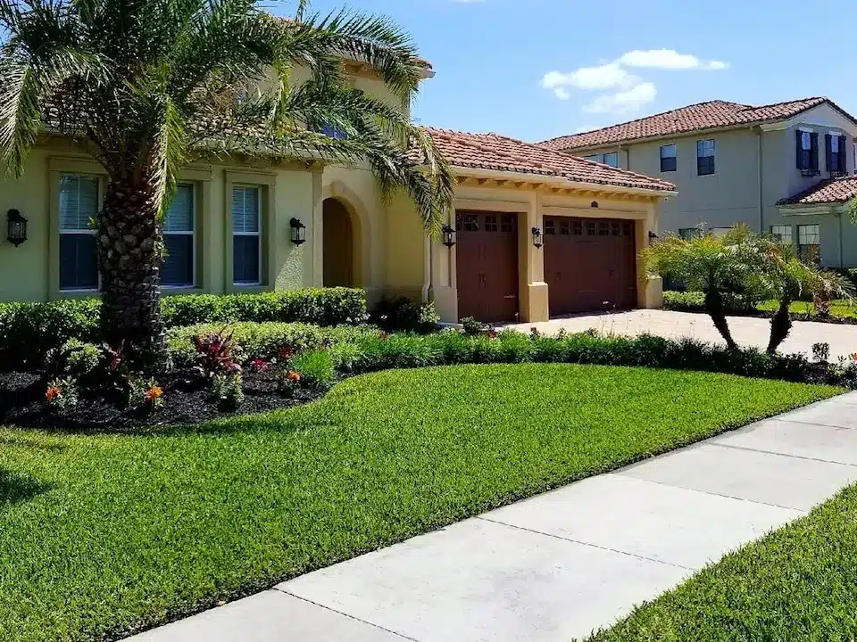 A bright green front lawn curving along a sidewalk in front of a tile-roofed house with a tall palm and planted beds
