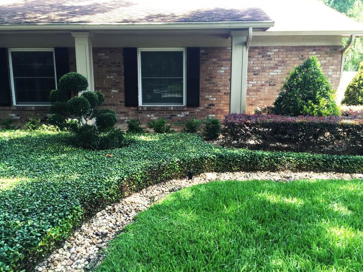 A green lawn meeting a groundcover bed edged with river rock in front of a brick house with clipped topiary