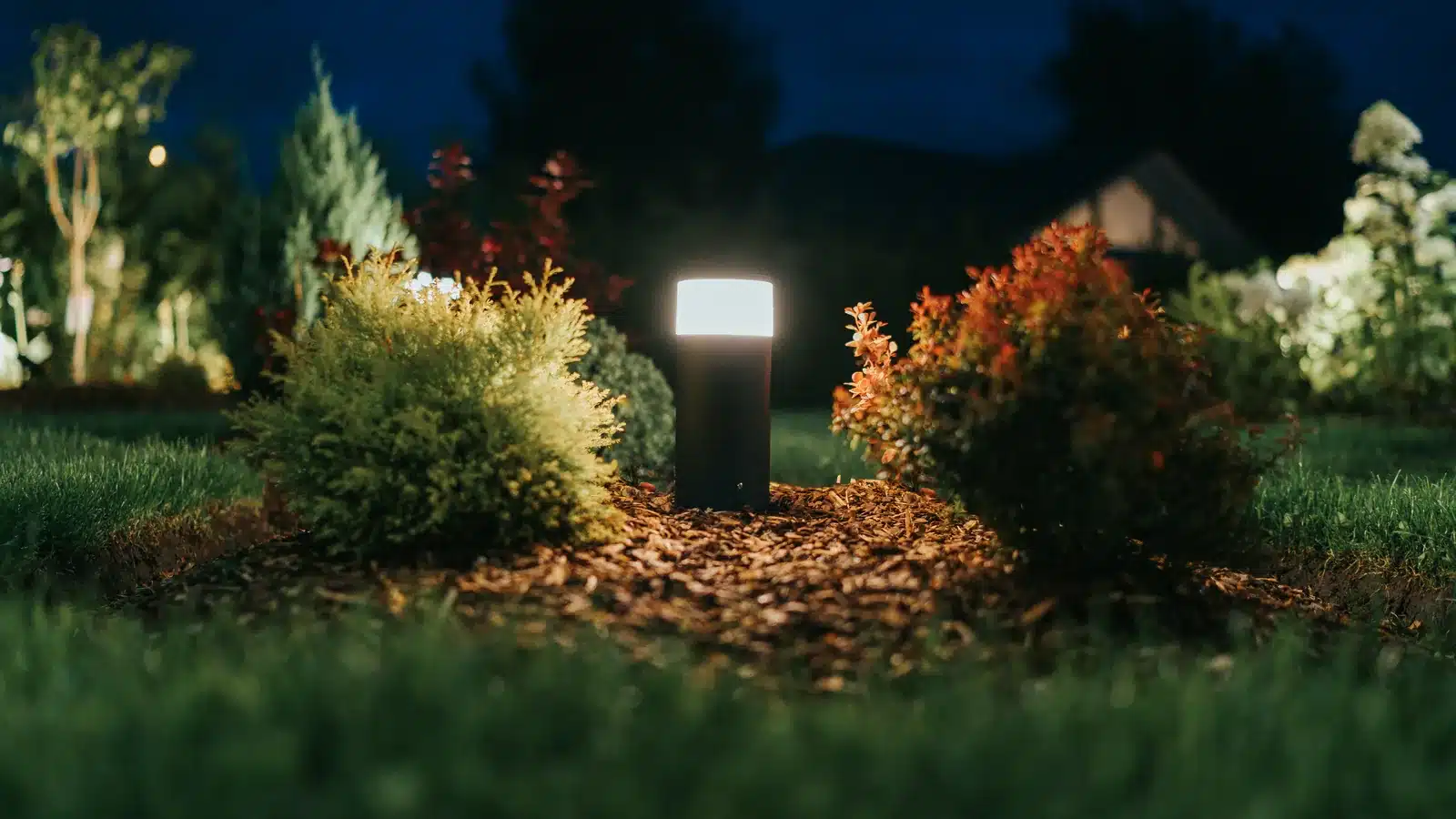 A short square path light glowing in a mulched bed of shrubs and grasses at dusk, with a lawn in front
