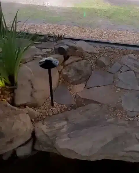 A dark path light on a short stem set among flat rocks and gravel inside a screened lanai, seen by day