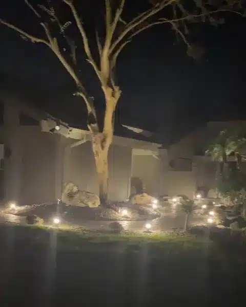 Small path lights along a curving bed edge at night, a tree lit from below and the house front softly lit behind
