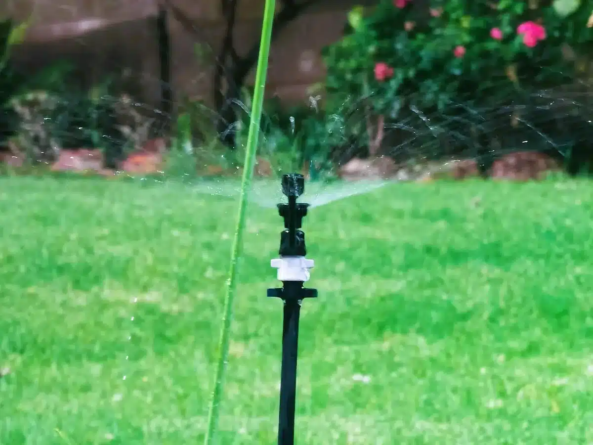 Spray head on a riser throwing a fan of water across a lawn